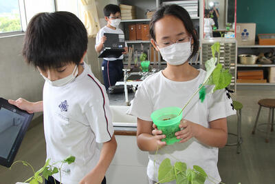 高崎小学校now6月 東根市立高崎小学校